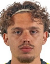 Marlon Fries